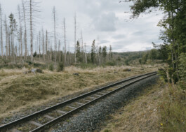 Mountains at National Park Harz Photography Dominik Hellmut Wolf