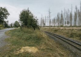 Mountains at National Park Harz Photography Dominik Hellmut Wolf
