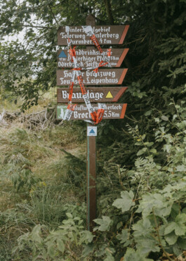Mountains at National Park Harz Photography Dominik Hellmut Wolf