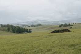 Mountains at National Park Harz Photography Dominik Hellmut Wolf
