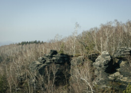 Saxon Switzerland National Park Photography Dominik Hellmut Wolf