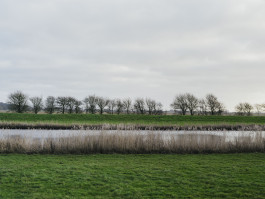 Nordfriesland Photography Dominik Hellmut Wolf