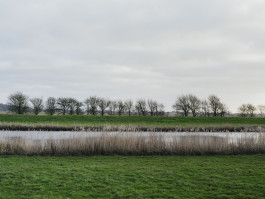 Nordfriesland Photography Dominik Hellmut Wolf