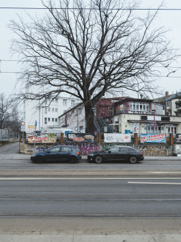 202601 Dresden Elbe-001-5532 Photography Dominik Hellmut Wolf