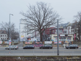 202601 Dresden Elbe-003-5553 Photography Dominik Hellmut Wolf