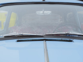 202601 Dresden Elbe-005-5565 Photography Dominik Hellmut Wolf