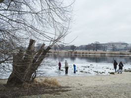 202601 Dresden Elbe-006-5572 Photography Dominik Hellmut Wolf