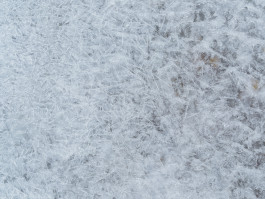 202601 Dresden Elbe-007-5588 Photography Dominik Hellmut Wolf