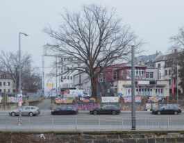 202601 Dresden Elbe– Photography Dominik Hellmut Wolf-5553 Photography Dominik Hellmut Wolf