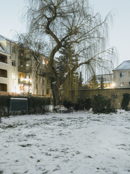 202601 Iglu-002-5518 Photography Dominik Hellmut Wolf