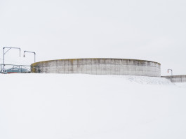 20260109 Schnee Weihnachtsbaum-002-5499 Photography Dominik Hellmut Wolf