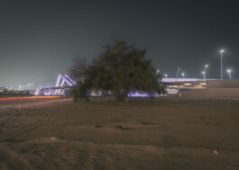 23-24 UAE Abu Dhabi-pdhw-1306 Photography Dominik Hellmut Wolf