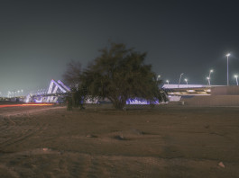 23-24 UAE Abu Dhabi-pdhw-1306 Photography Dominik Hellmut Wolf