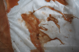 Jana Slaby, 2020 Photography Dominik Hellmut Wolf Leipzig