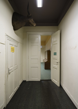 Naturkunde Museum Leipzig, 2018 Photography Dominik Hellmut Wolf Leipzig