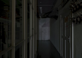 Naturkunde Museum Leipzig, 2018 Photography Dominik Hellmut Wolf Leipzig