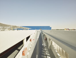 AutoWB: 1.47; 1.00; 1.53, Kelvin=5915, Tint=-0.0049 Photography Dominik Hellmut Wolf