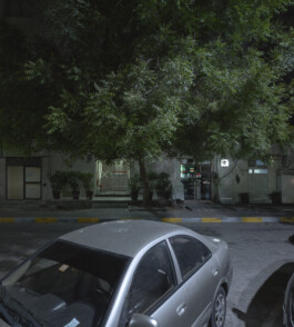 Abu Dhabi—trees—001—2014-12-10 UAE-AD crown crook tree—Dominik Wolf Photography Dominik Hellmut Wolf