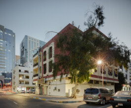 Abu Dhabi—trees—007—2014-12-20-UAE-Abu Dhabi-tourist club-picture-Dominik Wolf 9—Dominik Wolf Photography Dominik Hellmut Wolf