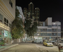 Abu Dhabi—trees—008—1805-Capture–AD Centrum – Foto Dominik Wolf 45—Dominik Wolf Photography Dominik Hellmut Wolf