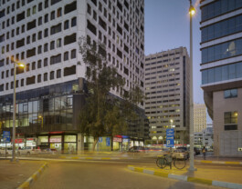 Abu Dhabi—trees—009—1805-Capture–AD Centrum – Foto Dominik Wolf 31—Dominik Wolf Photography Dominik Hellmut Wolf