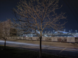 Abu Dhabi—trees—011—1805-Capture–AD Centrum – Foto Dominik Wolf 21—Dominik Wolf Photography Dominik Hellmut Wolf