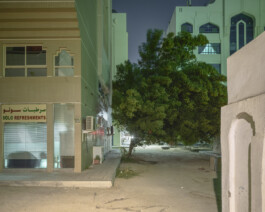 Abu Dhabi—trees—018—1805-Capture–AD Centrum – Foto Dominik Wolf 47—Dominik Wolf Photography Dominik Hellmut Wolf