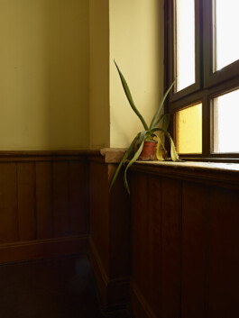 Leipzig—0209-agave Photography Dominik Hellmut Wolf