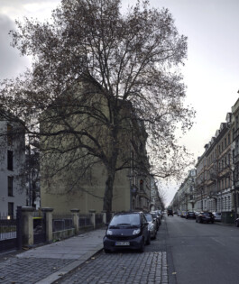 Leipzig—2106-12-Leipzig—Waldstrassen-Viertel—Baum-06-foto-Dominik-Wolf Photography Dominik Hellmut Wolf